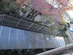 16/19 その他画像