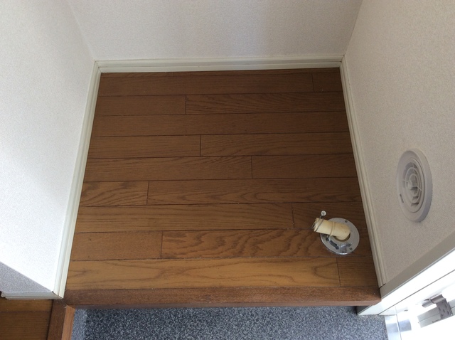 14/14 その他画像