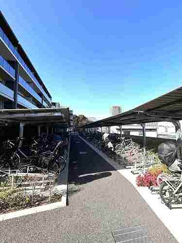 5/11 その他画像