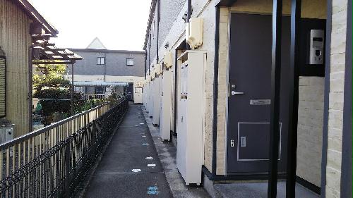 11/24 その他画像