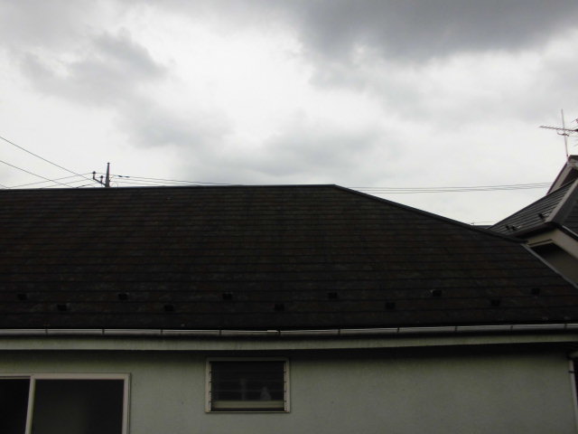 16/21 その他画像