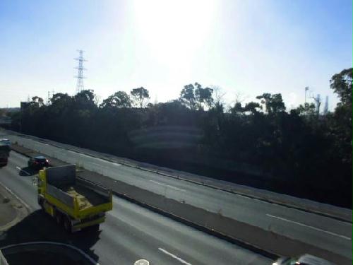 6/16 その他画像