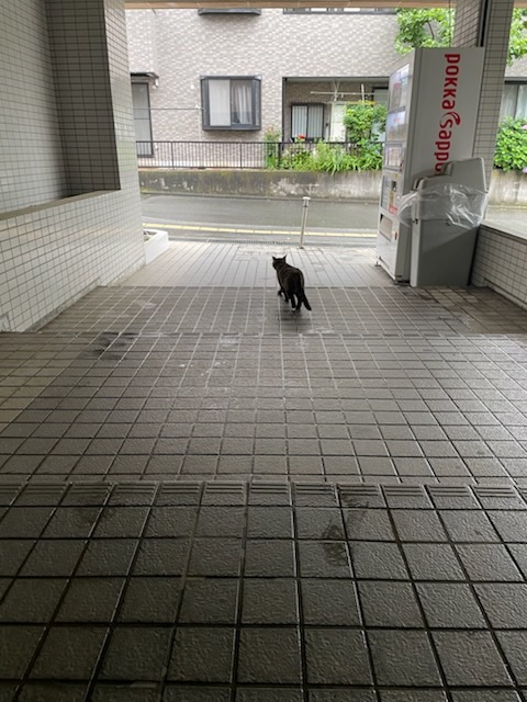 25/26 その他画像