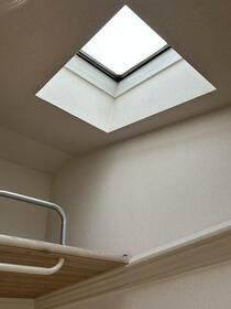 5/16 その他画像