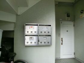 11/11 その他画像