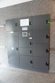 15/16 その他画像