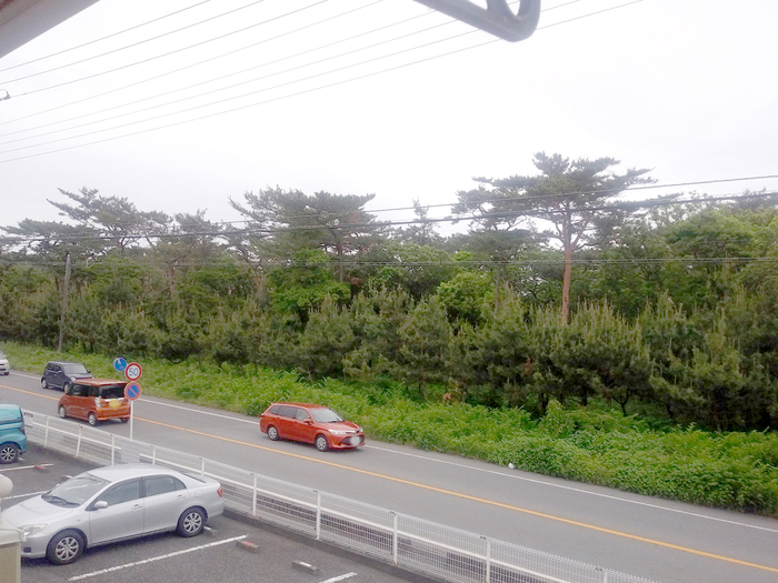 11/20 その他画像