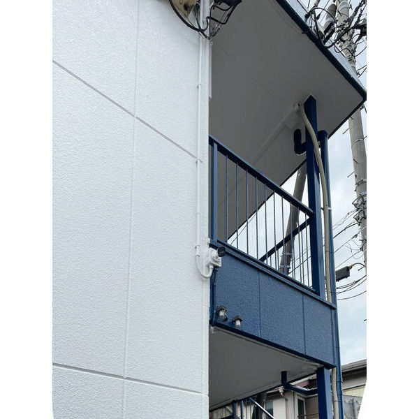 3/19 その他画像