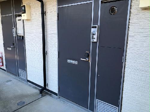 11/15 その他画像