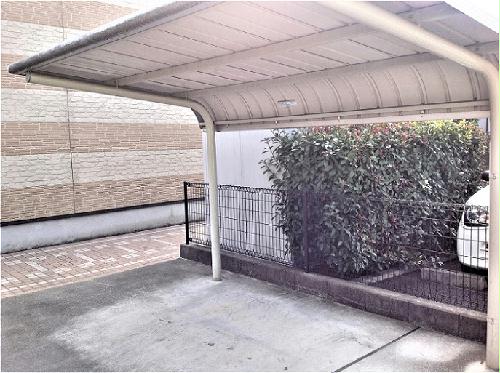 8/24 その他画像