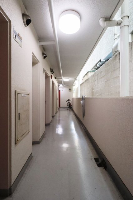 3/15 その他画像