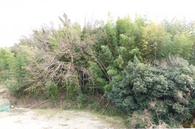 18/24 その他画像