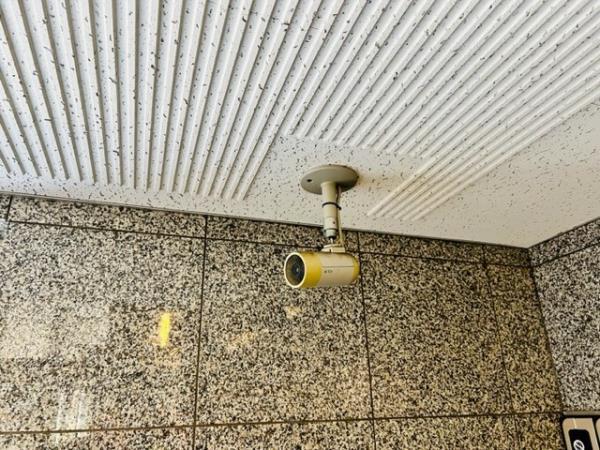 12/27 その他画像