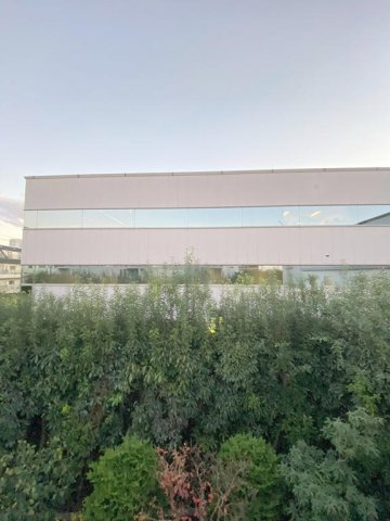 13/15 その他画像