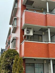 3/16 その他画像