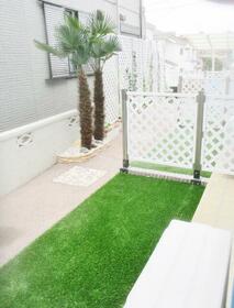 15/19 その他画像