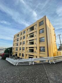 3/16 その他画像