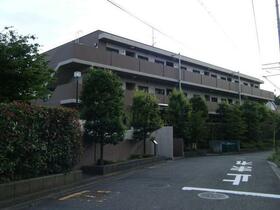 11/11 その他画像