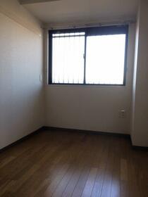 5/11 その他画像