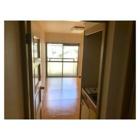 8/13 その他画像