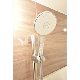 15/16 その他画像