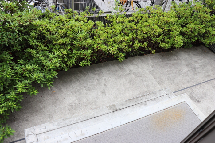 11/21 バルコニー