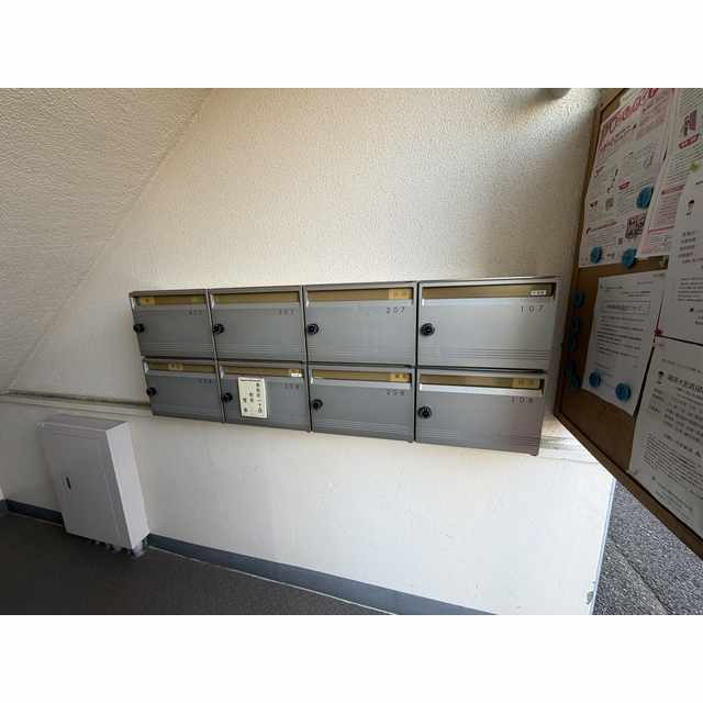 17/17 その他画像