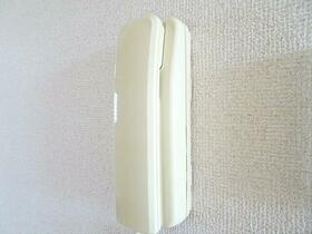 13/16 その他画像