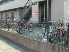 11/11 その他画像