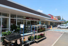 15/15 その他画像