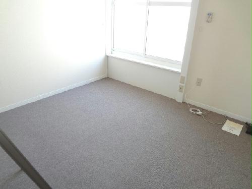 14/14 その他画像