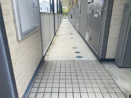 6/14 その他画像