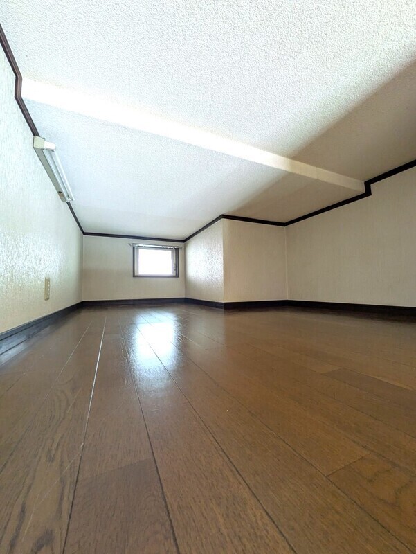 11/11 その他画像