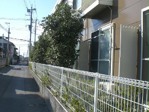 11/16 その他画像