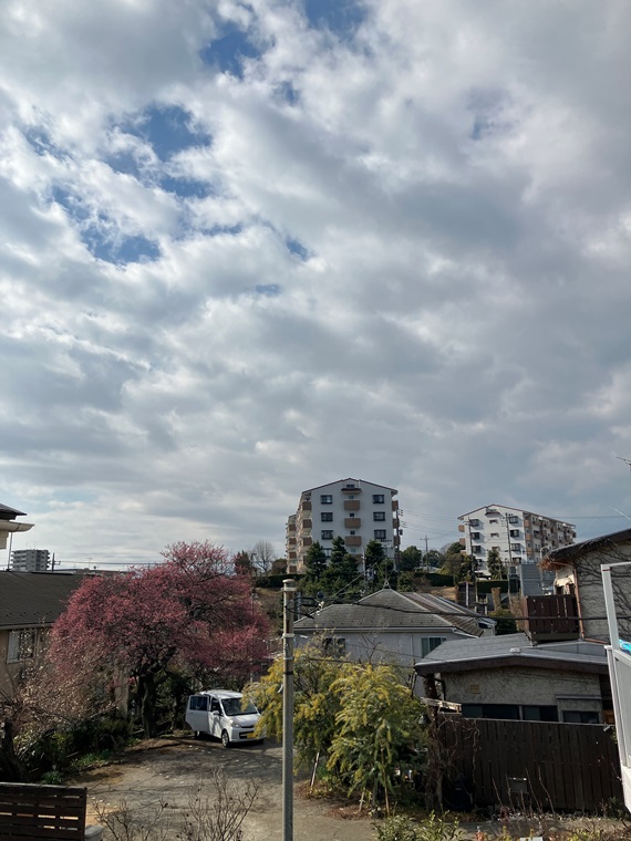 16/20 その他画像