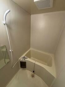 6/15 その他画像