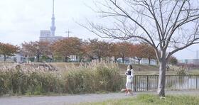 16/16 その他画像