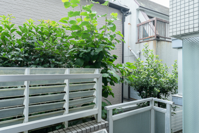 13/26 その他画像