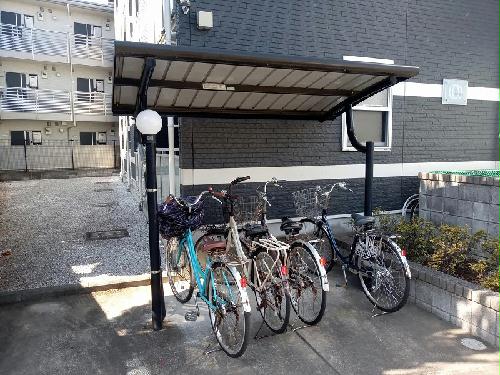 11/14 その他画像