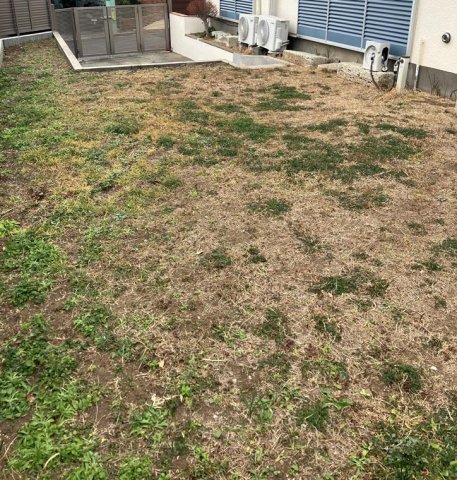 15/20 その他画像