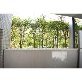 16/16 その他画像