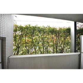 15/15 その他画像