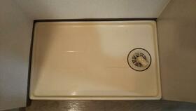 8/11 その他画像