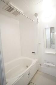 5/16 その他画像