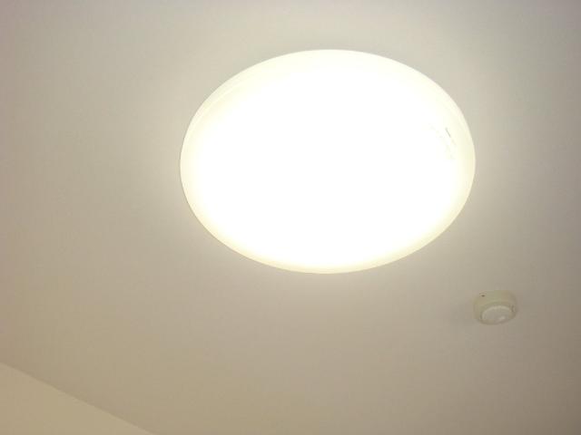 17/29 その他画像