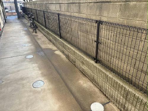 8/13 その他画像