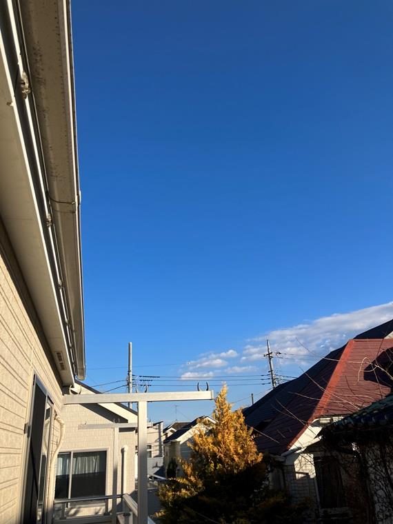 16/18 その他画像