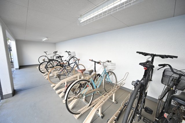 5/11 その他画像