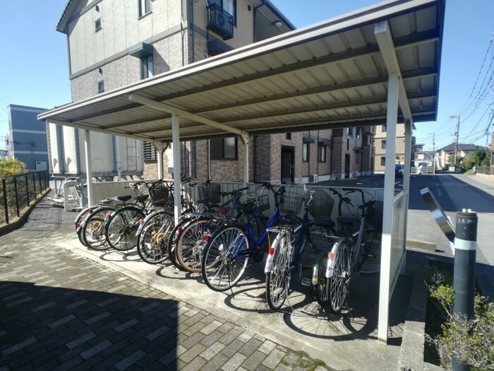 3/15 その他画像