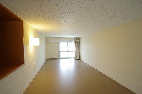 11/17 その他画像